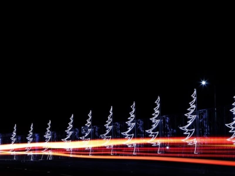 Festividades Decembrinas en imágenes