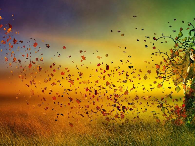 Otoño 2016