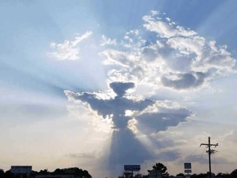 Conoce a tu Ángel en su Día