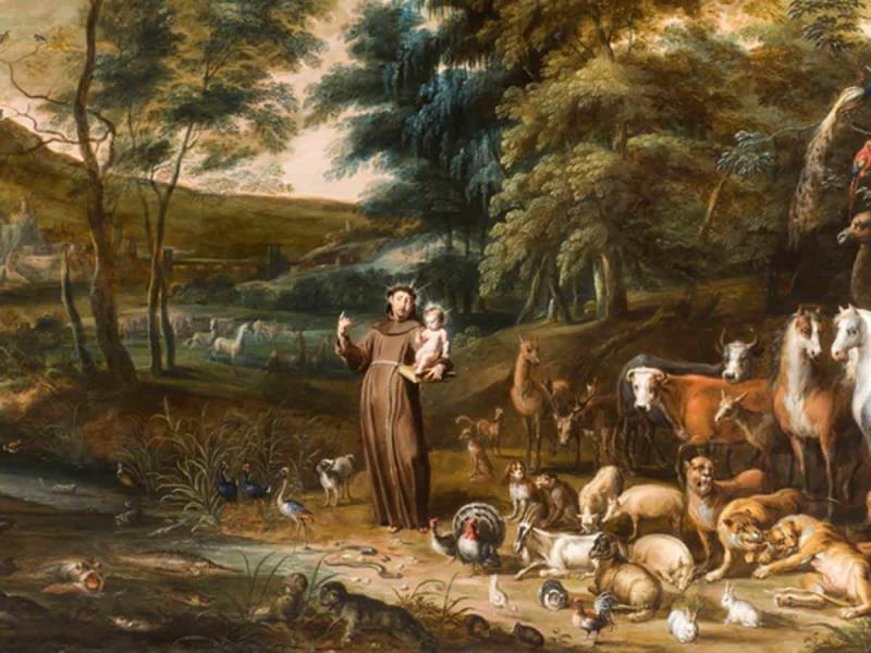 ¿Sabías que es Día de San Francisco y de los Animales?