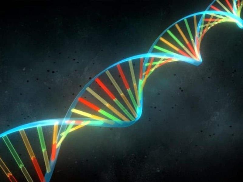 Conoce las maravillas de tu ADN en su día