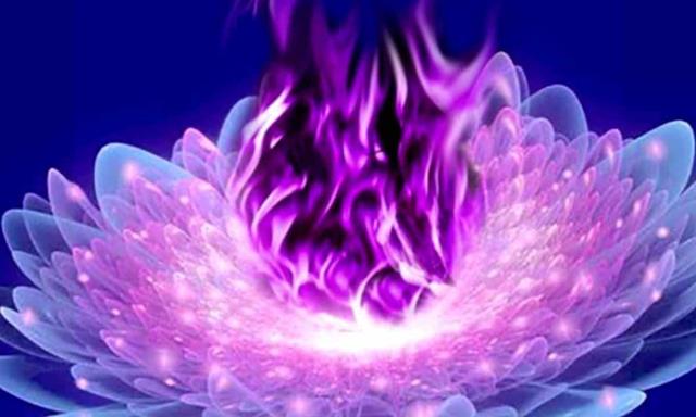 Lo que no sabías de la Llama Violeta Lo que no sabías de la Llama Violeta