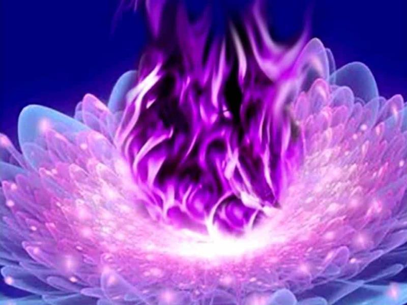 Lo que no sabías de la Llama Violeta