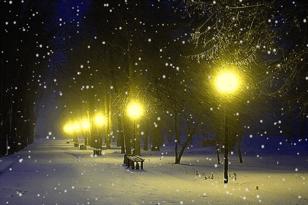 ¿Sabías que hoy empieza el invierno en el norte? ¿Sabías que hoy empieza el invierno en el norte?